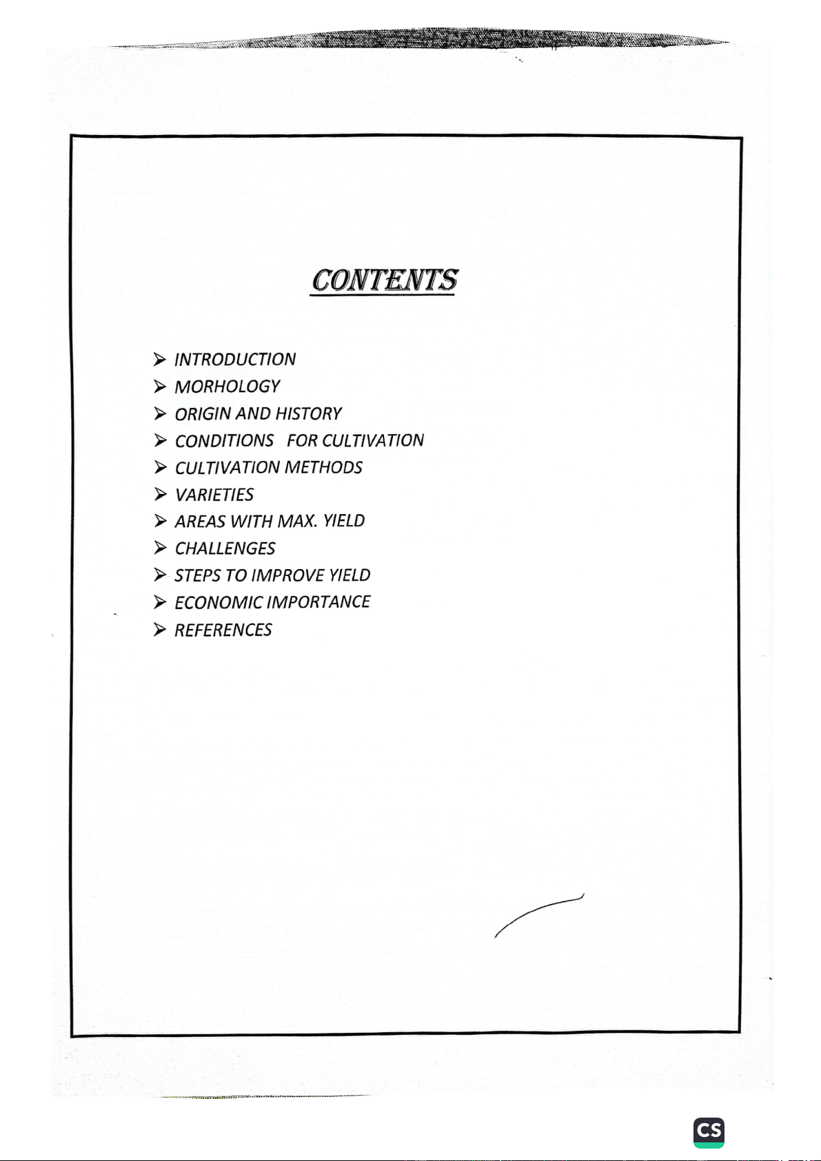 bg1