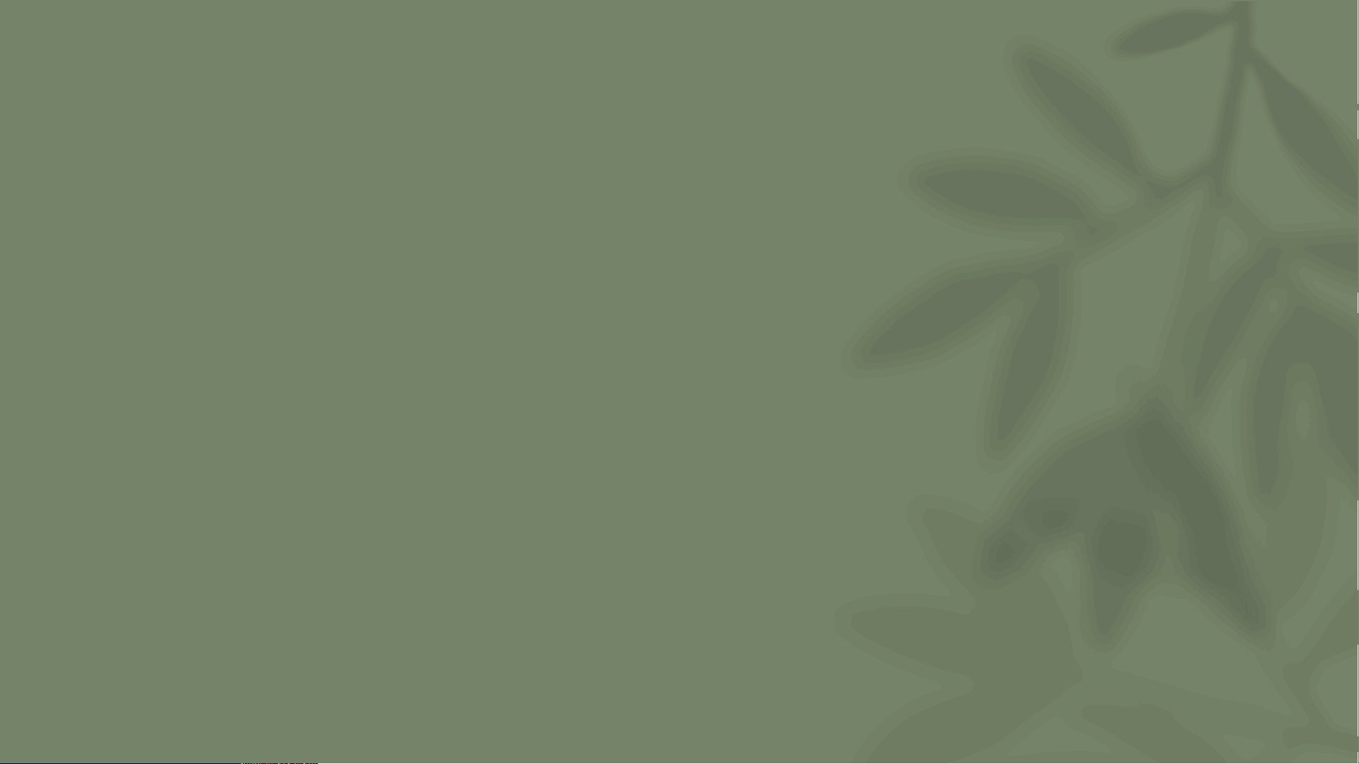 bg1