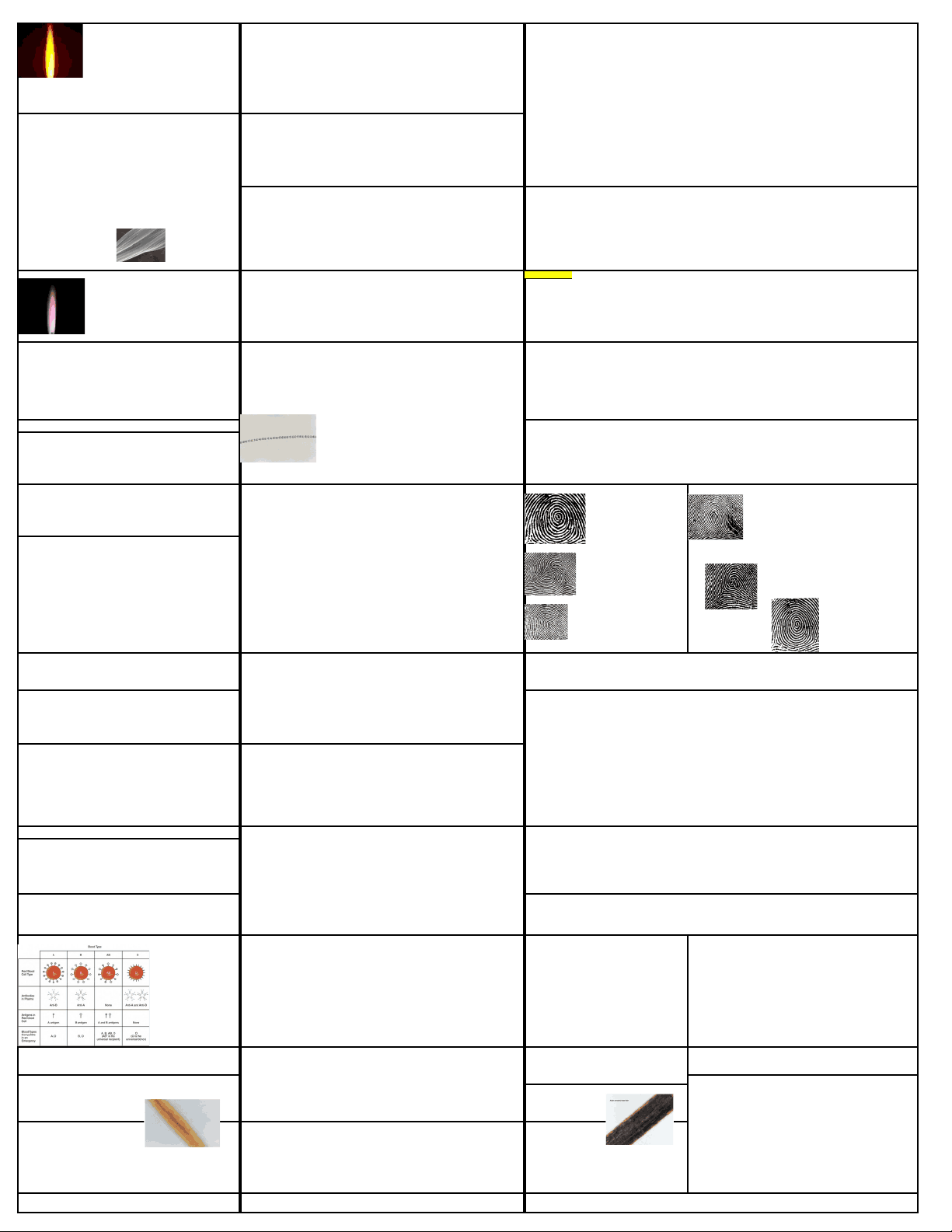 bg1