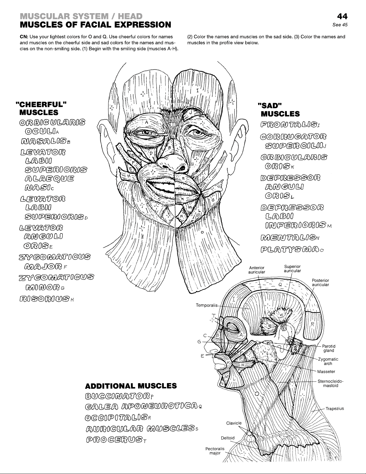 bg1