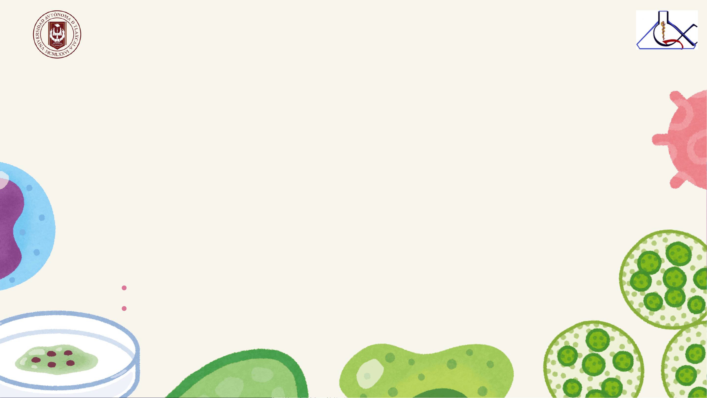 bg1