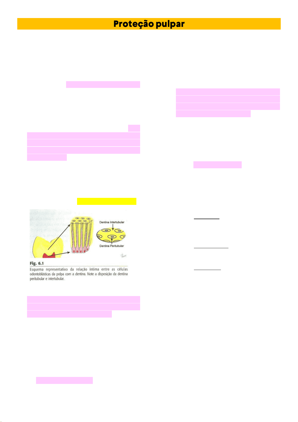 bg1