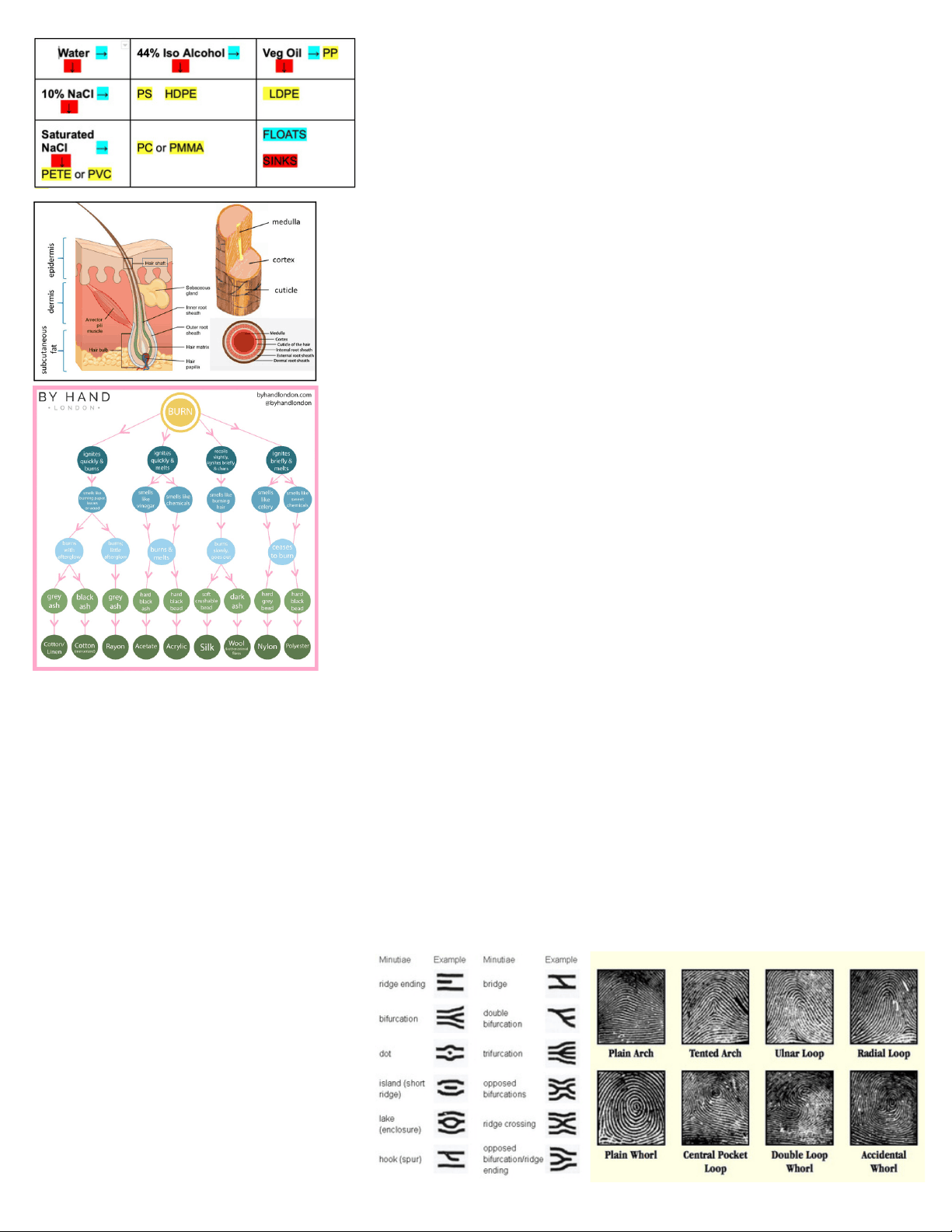 bg1