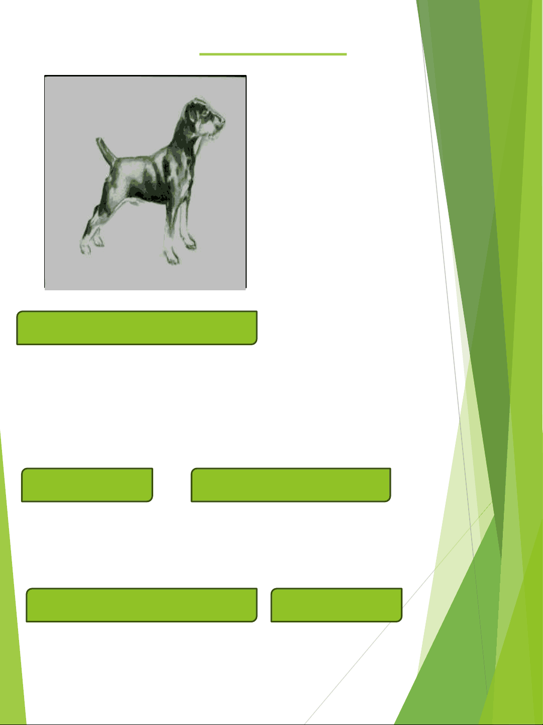 bg1