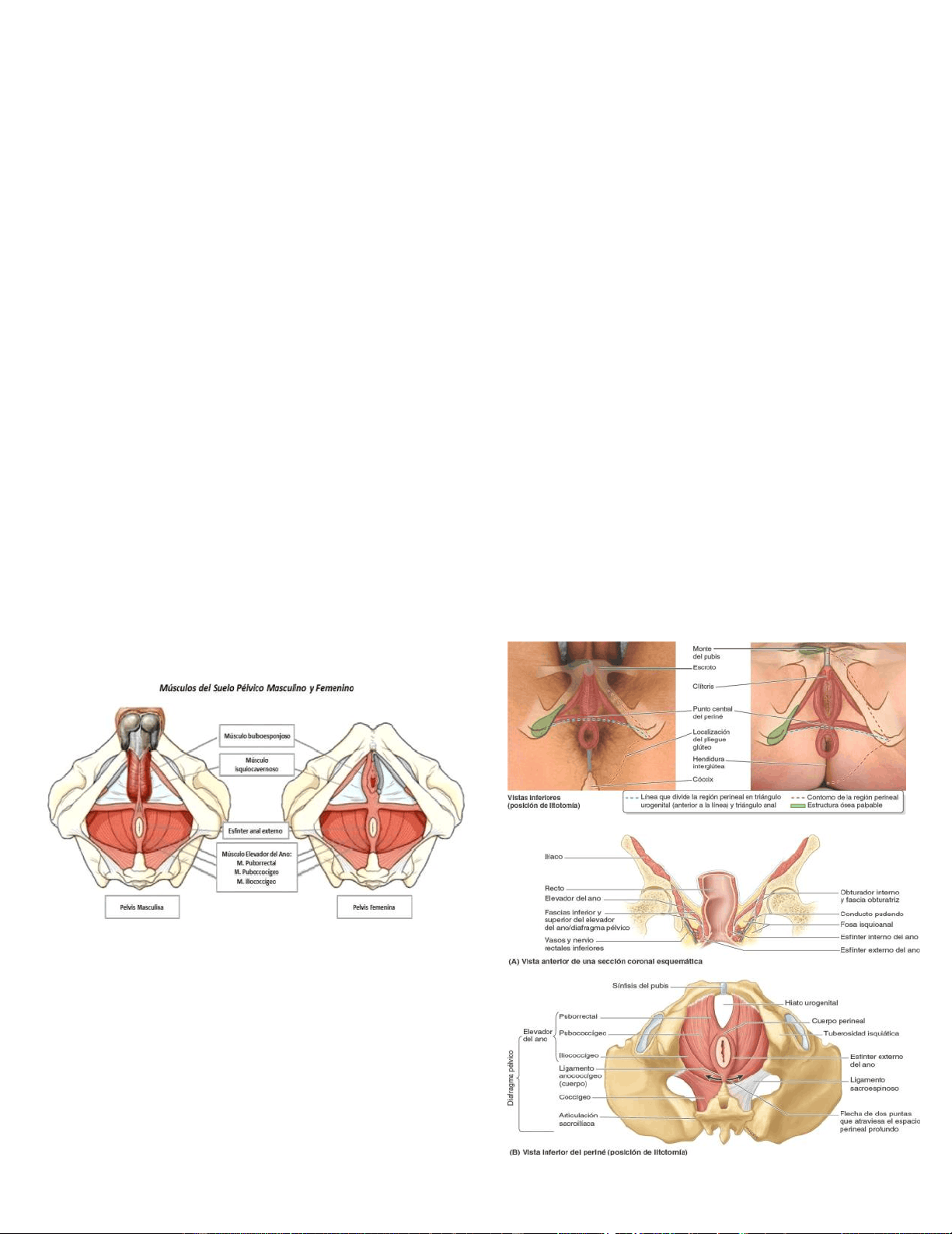 bg1