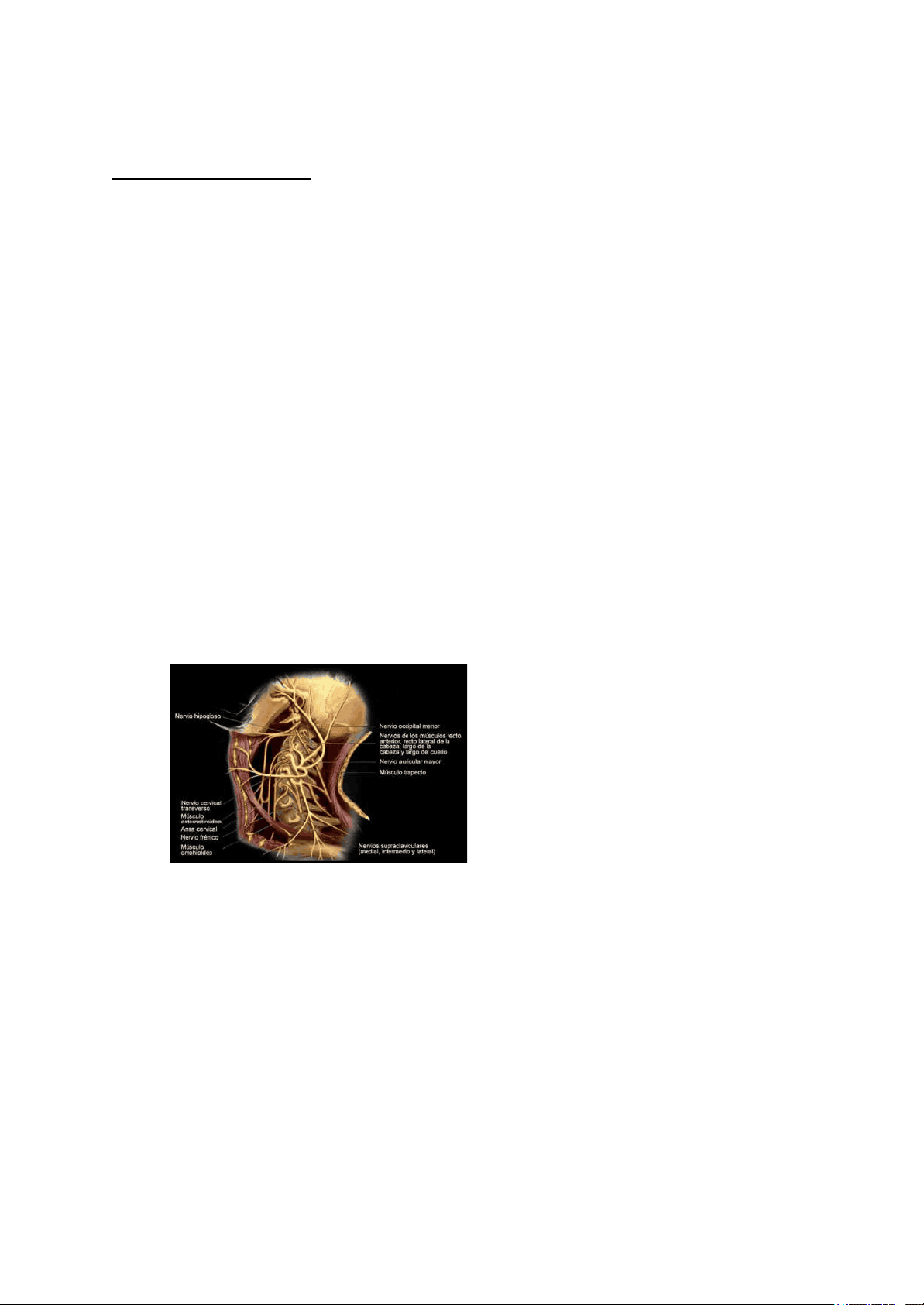 bg1