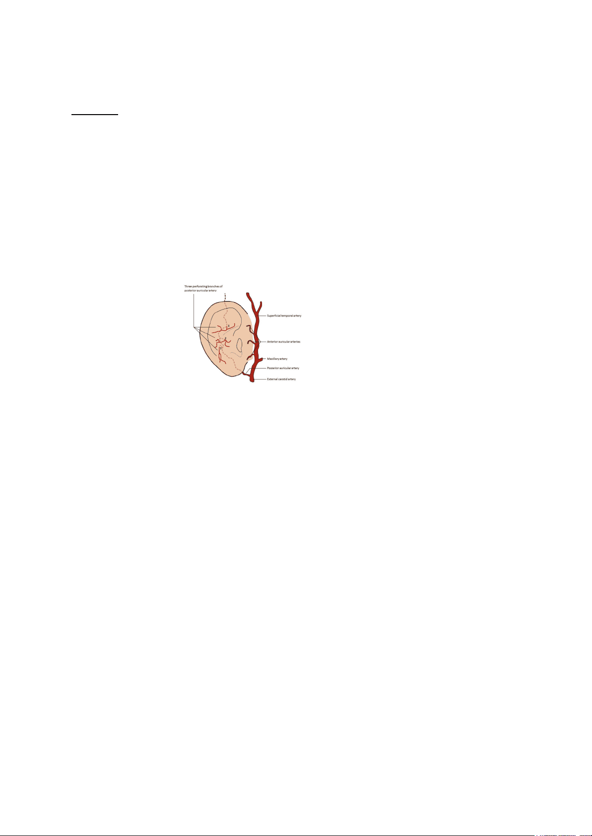 bg1