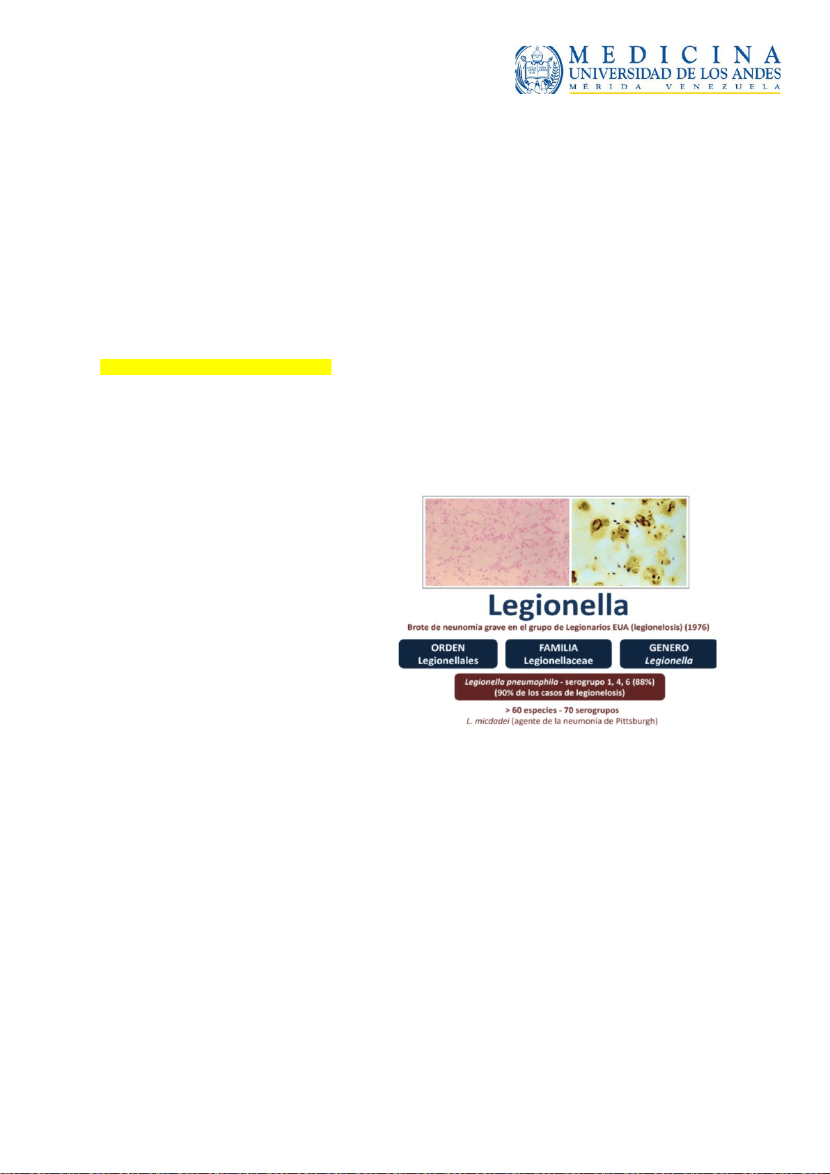 bg1