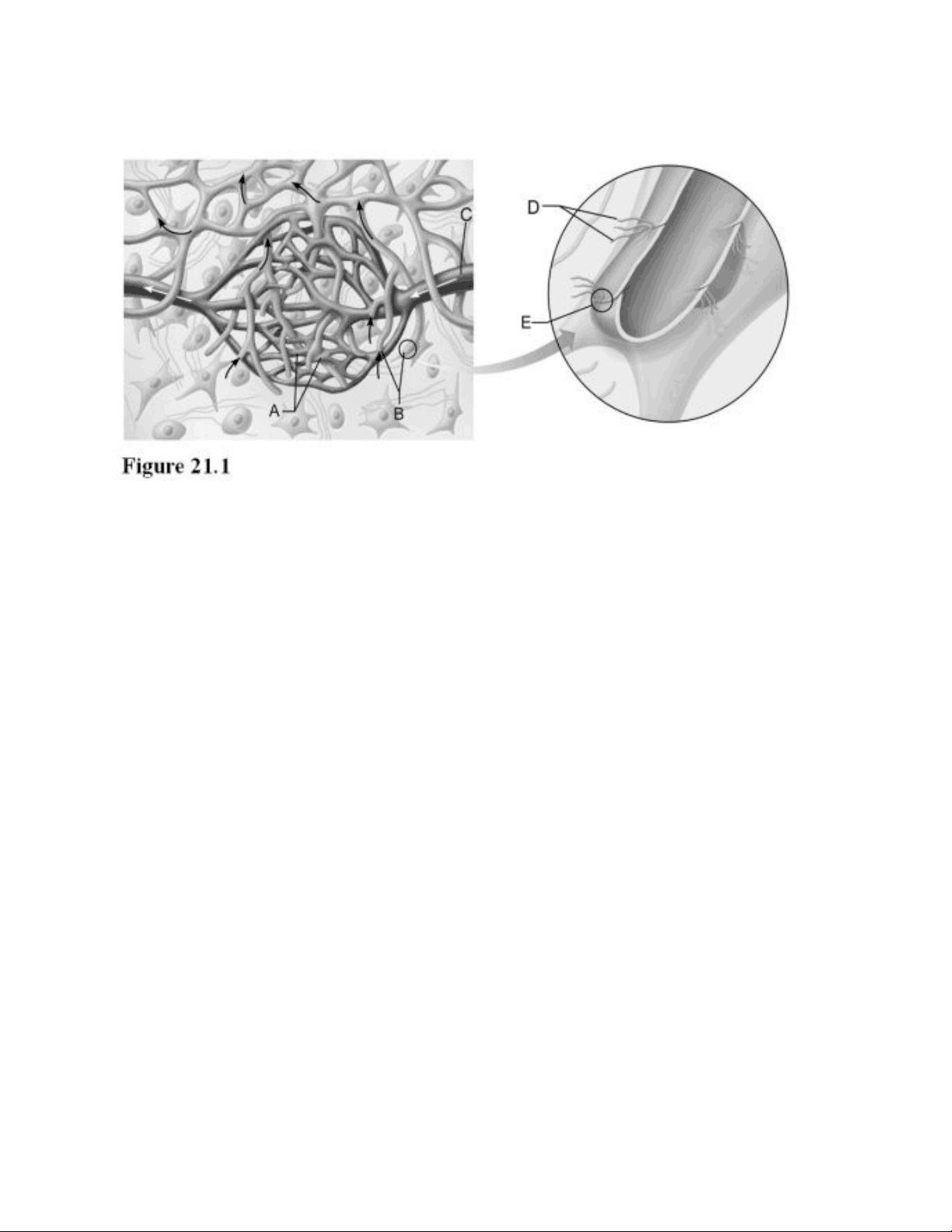 bg1