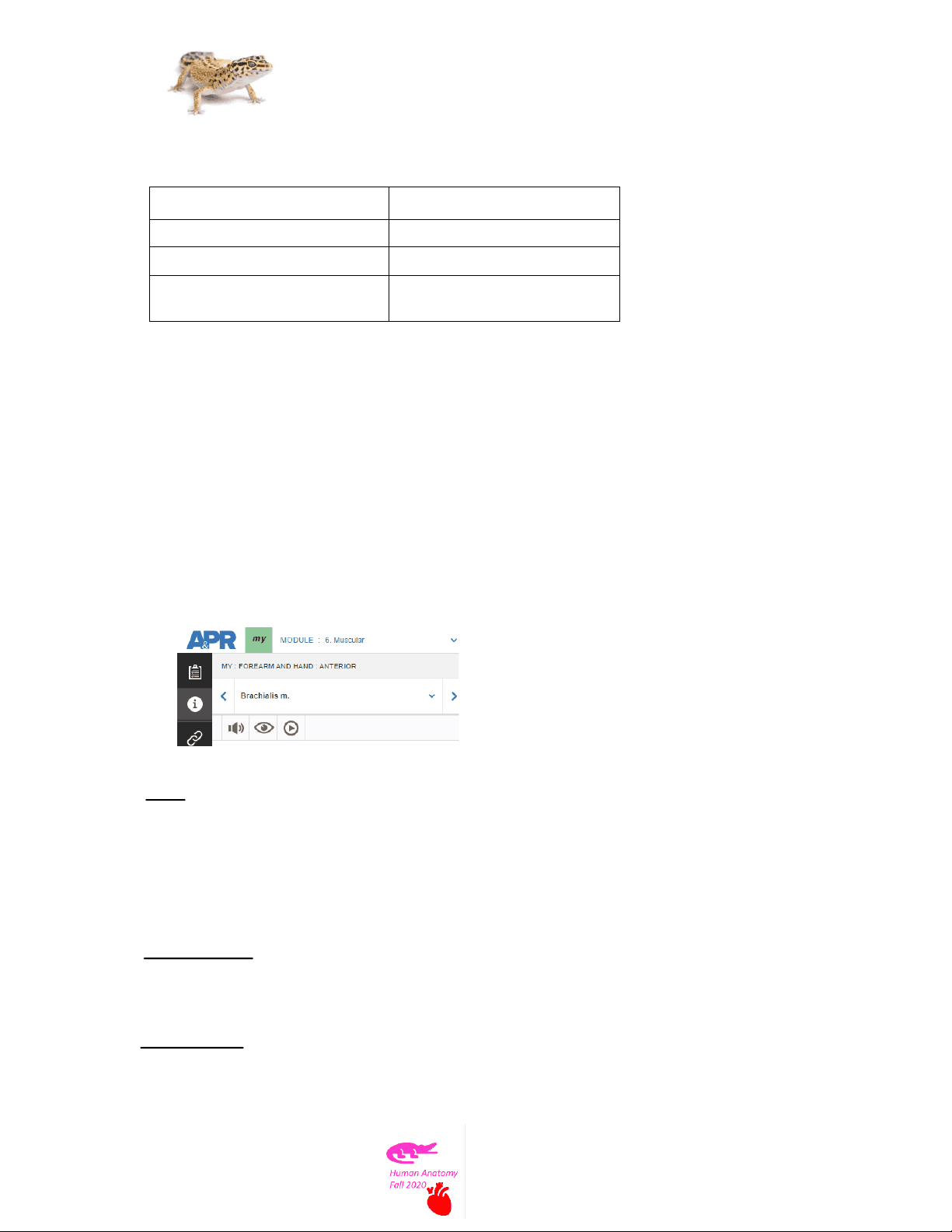 bg1