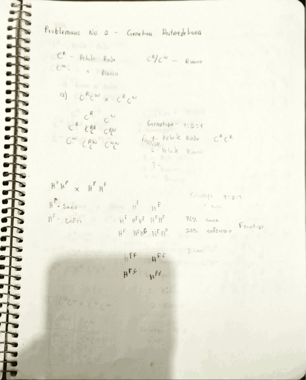 bg1