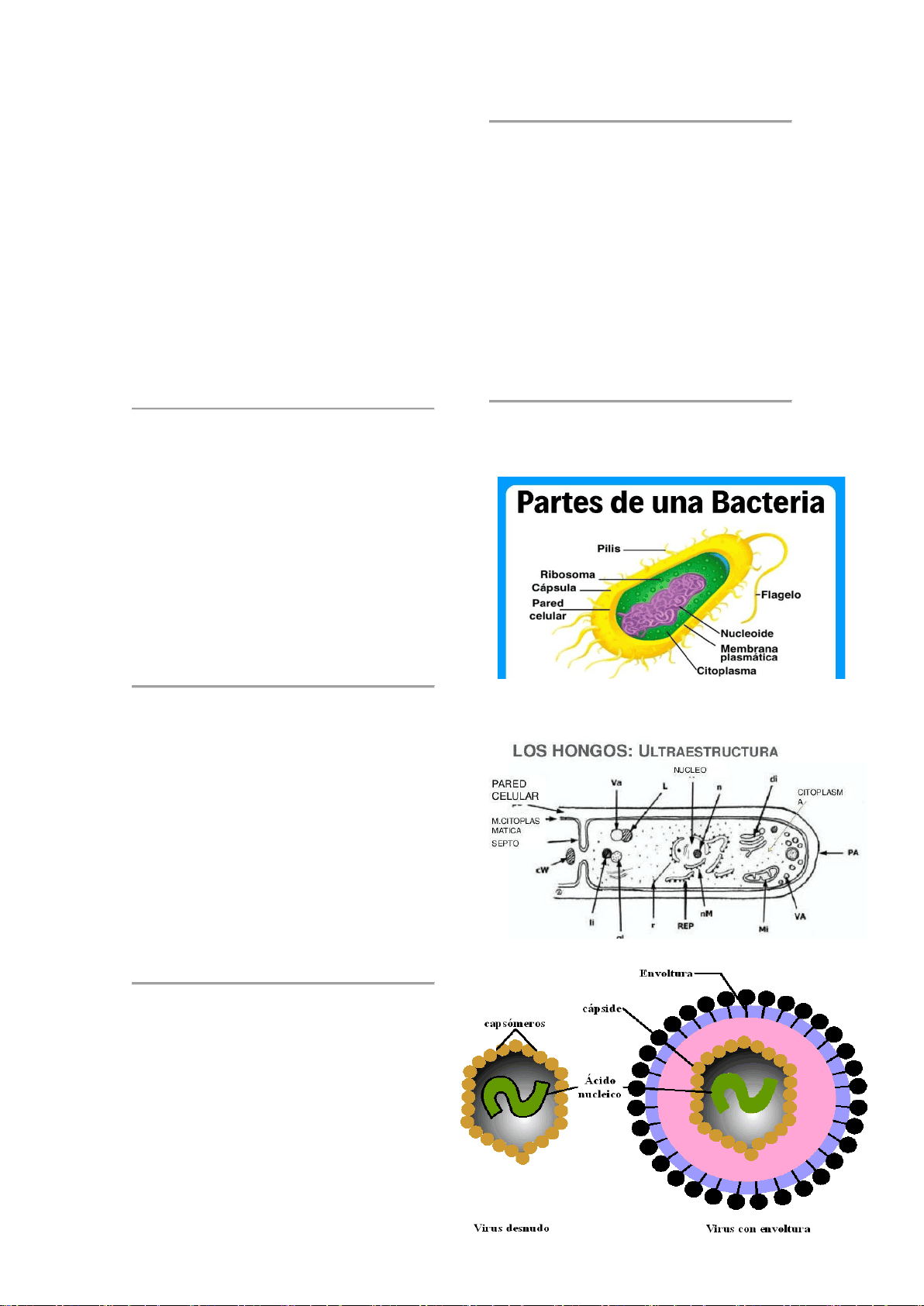 bg1