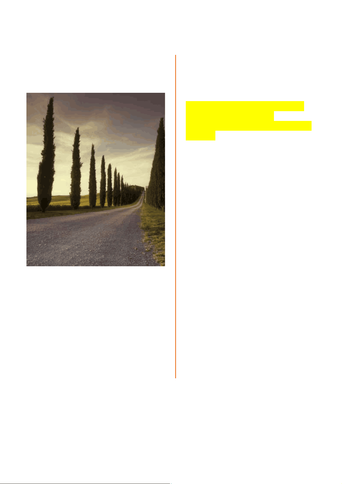 bg1
