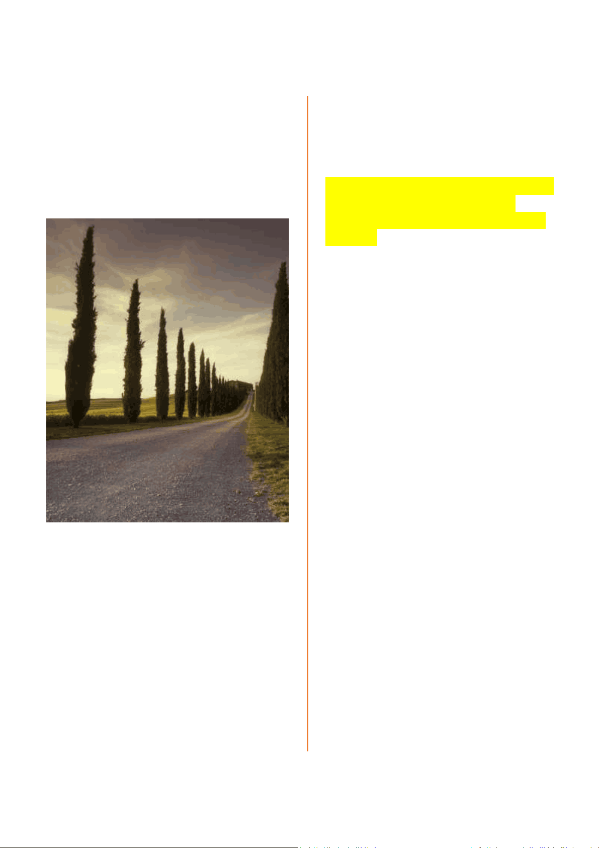bg1