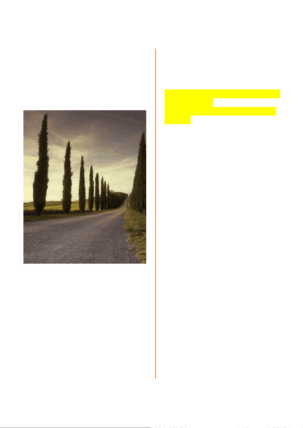 bg1
