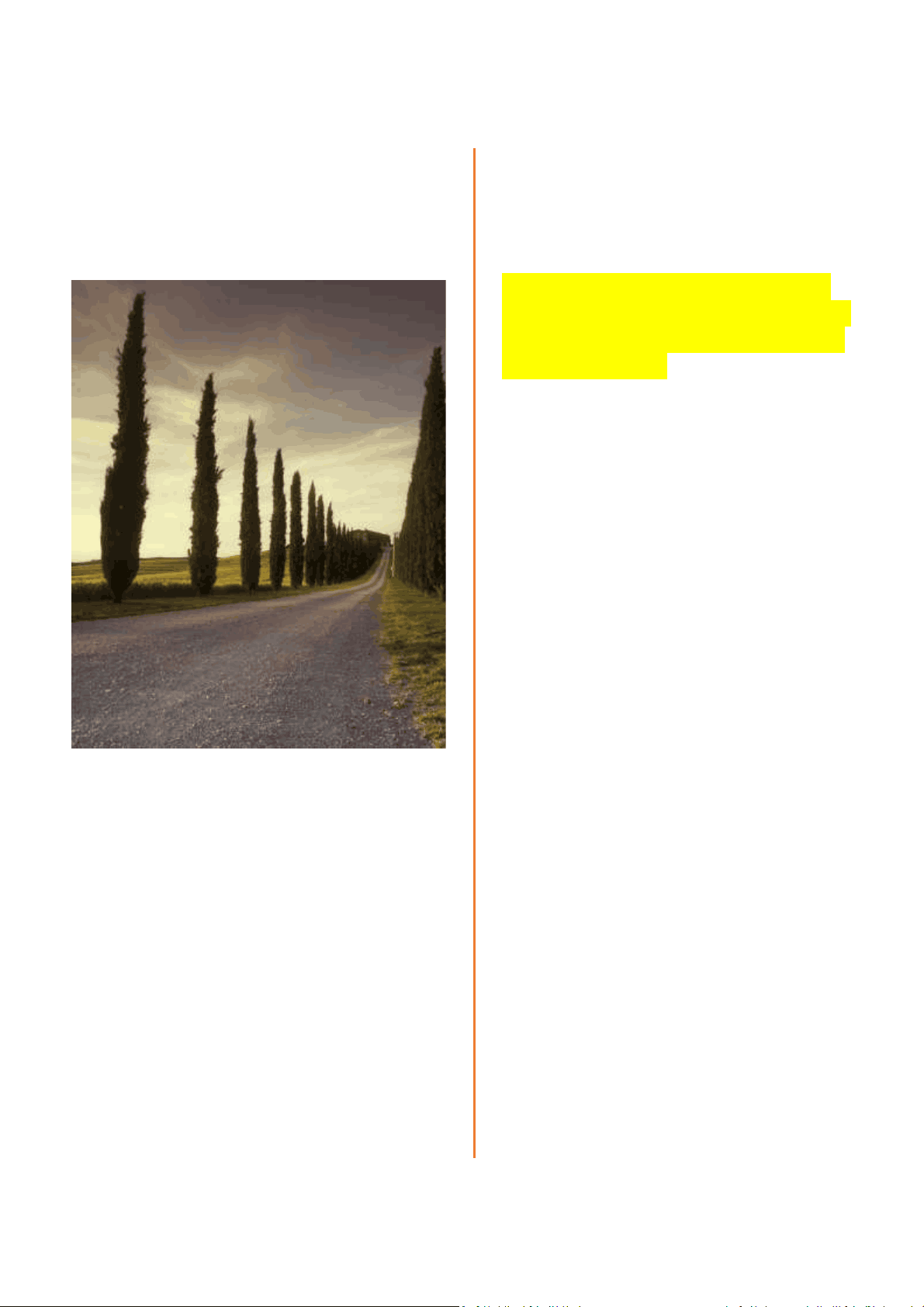bg1