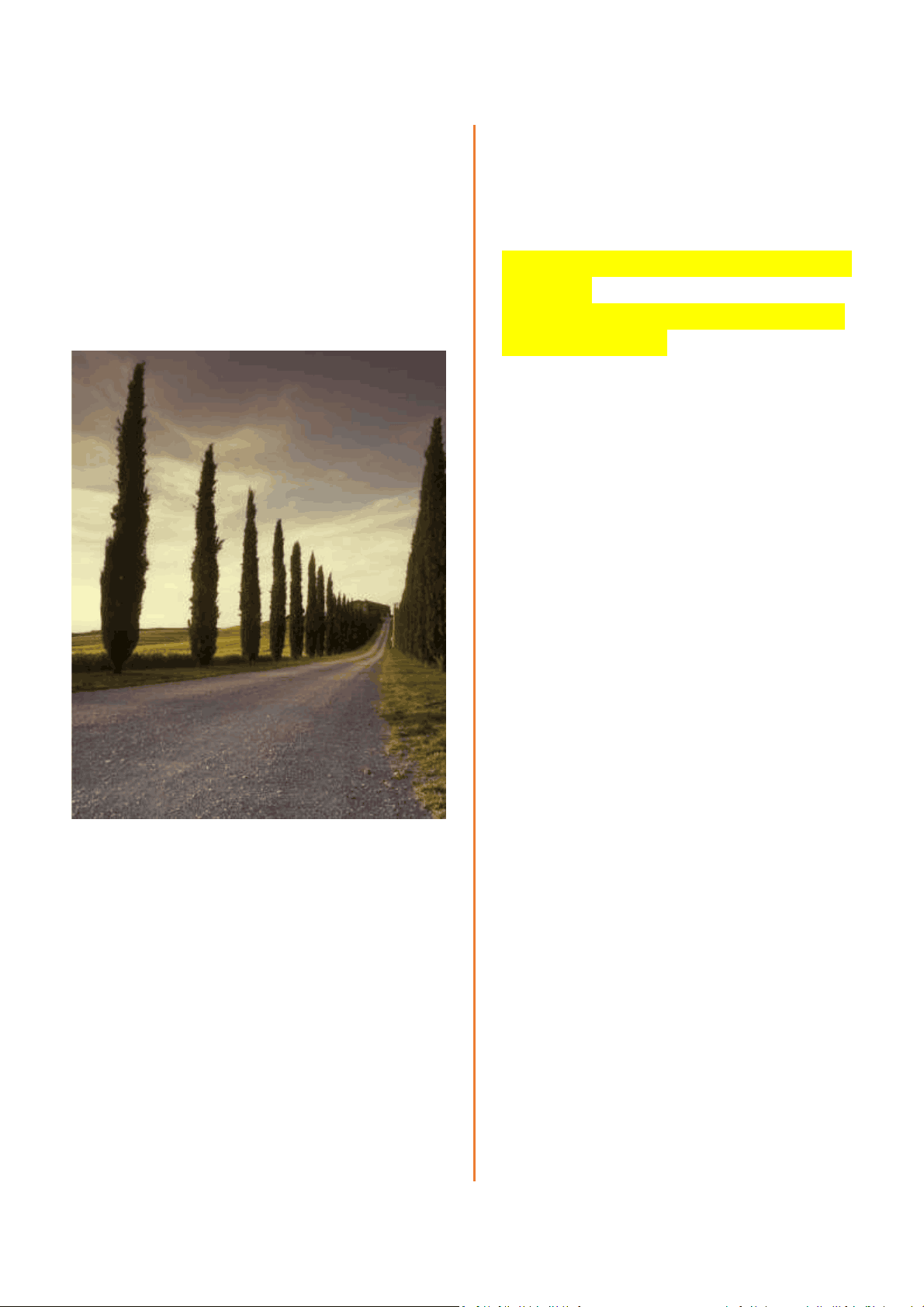 bg1