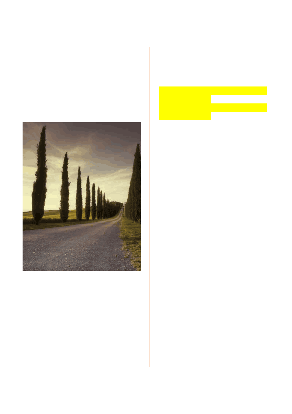 bg1