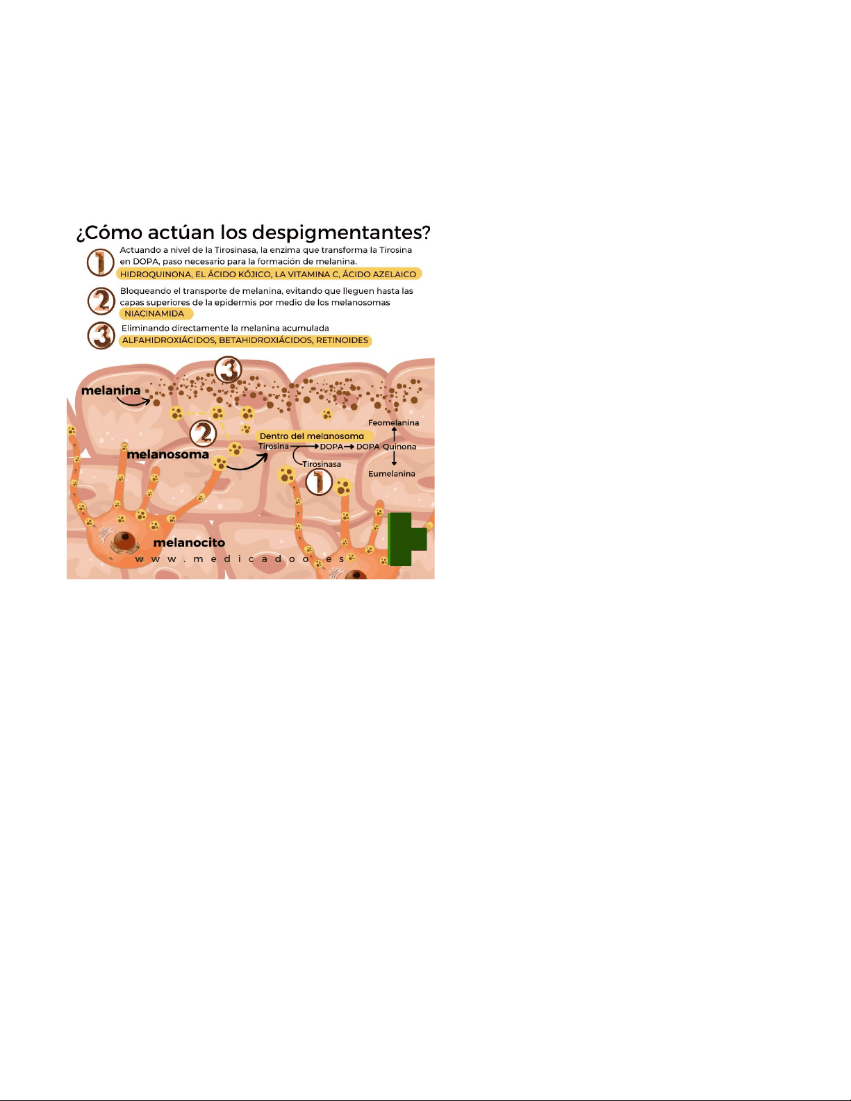 bg1