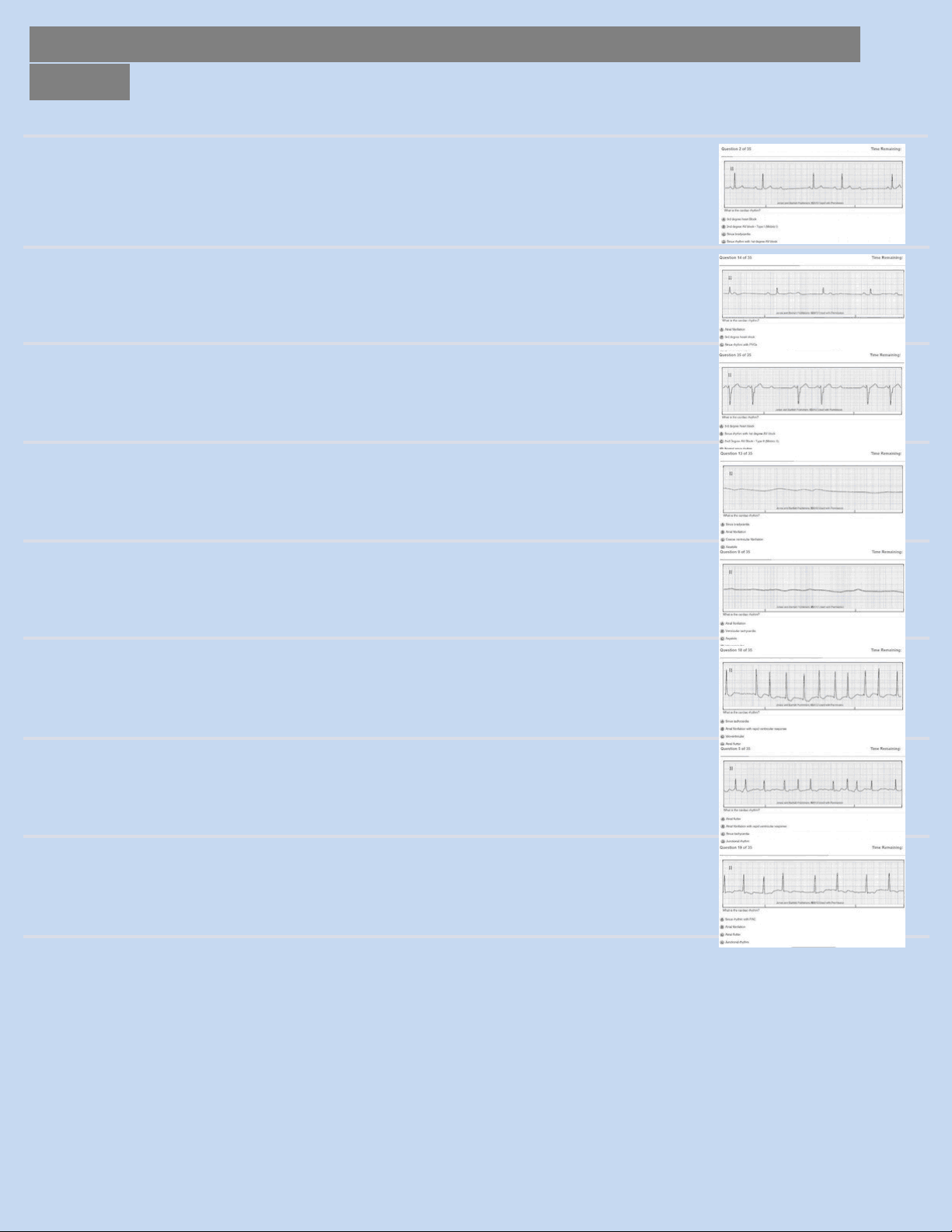 bg1