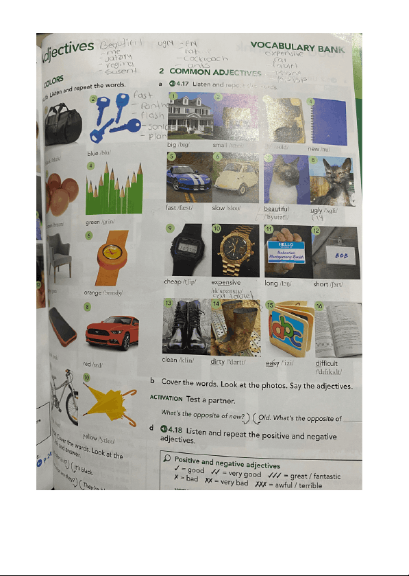 bg1