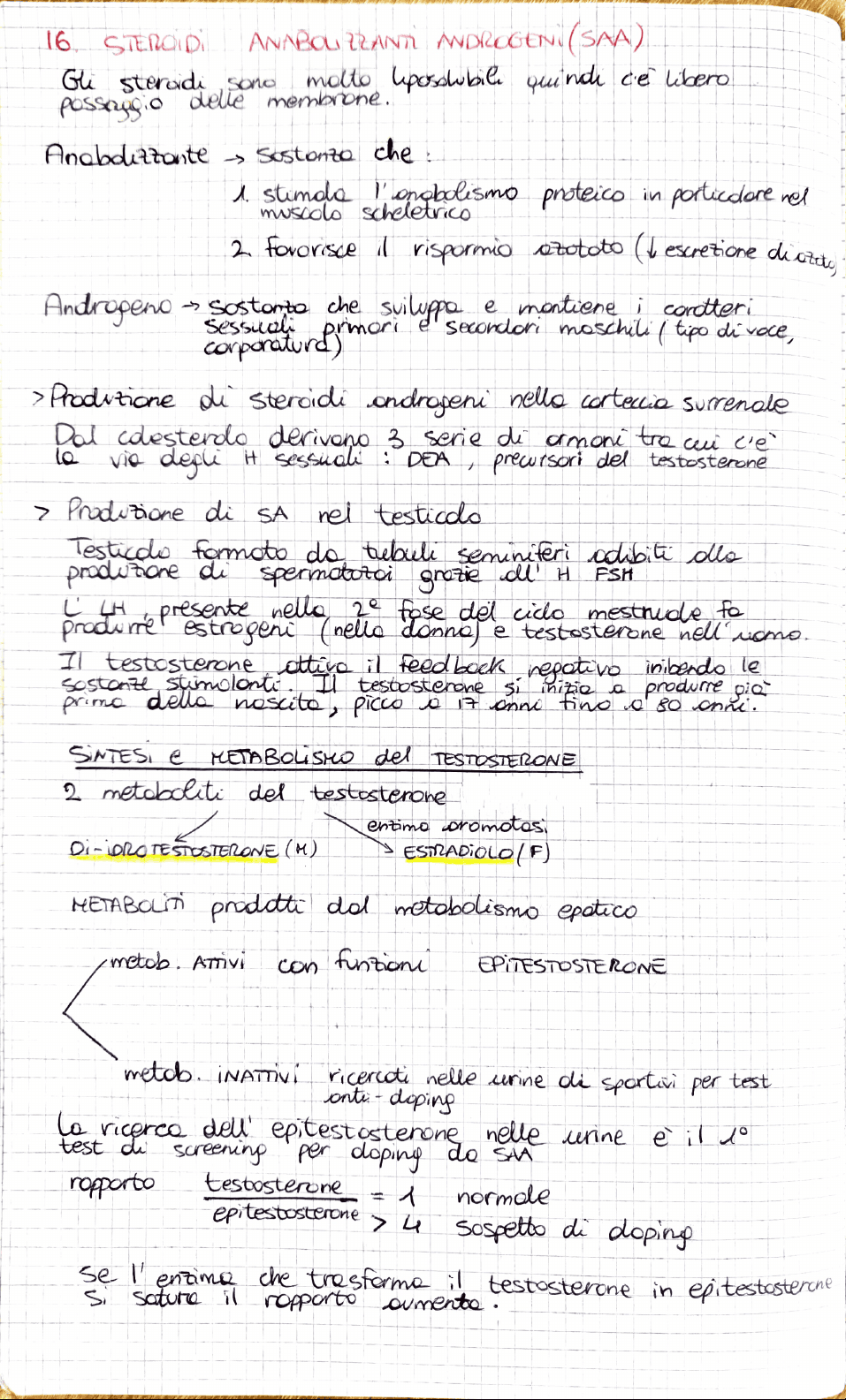 bg1