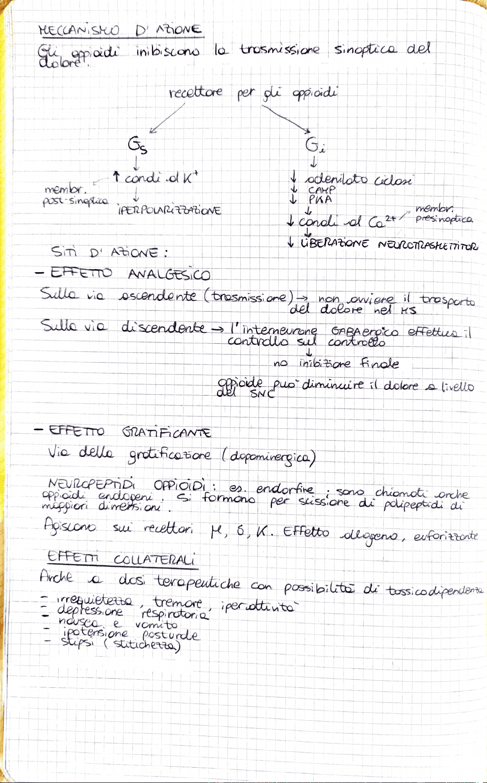 bg1