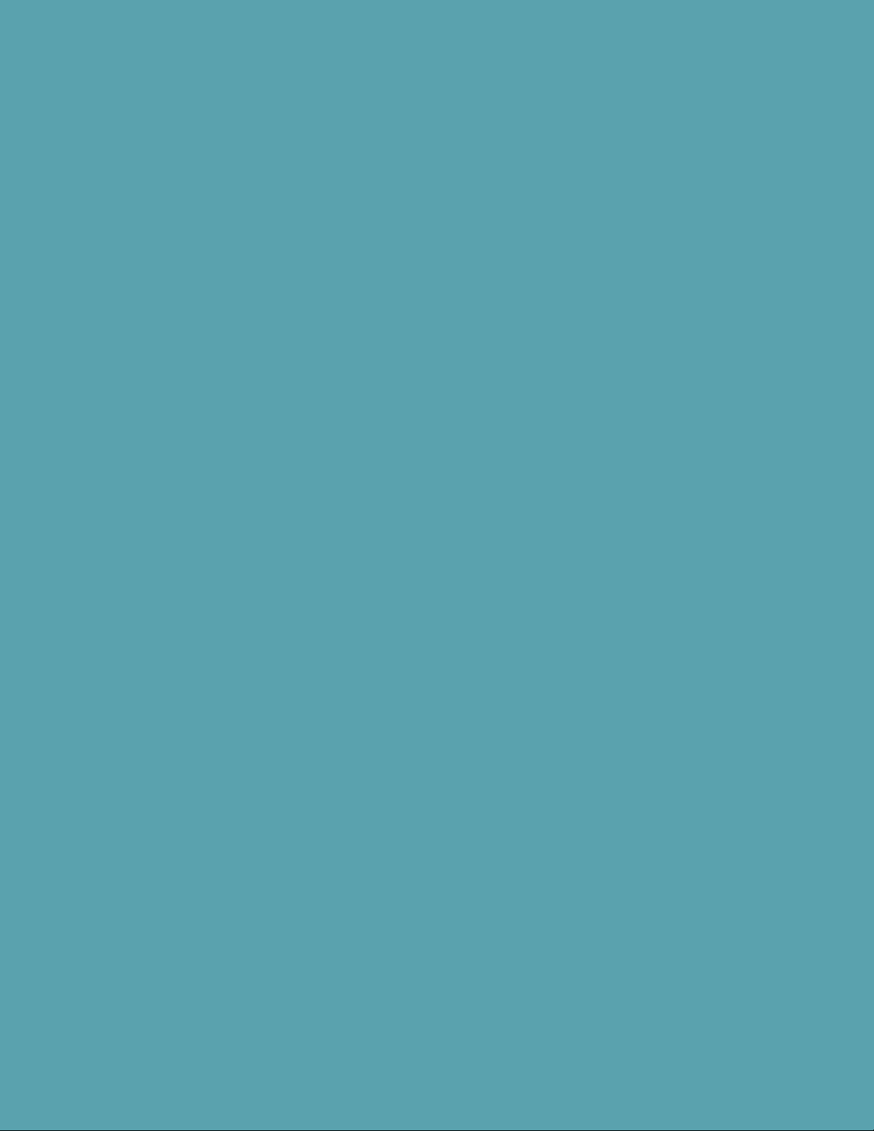 bg1