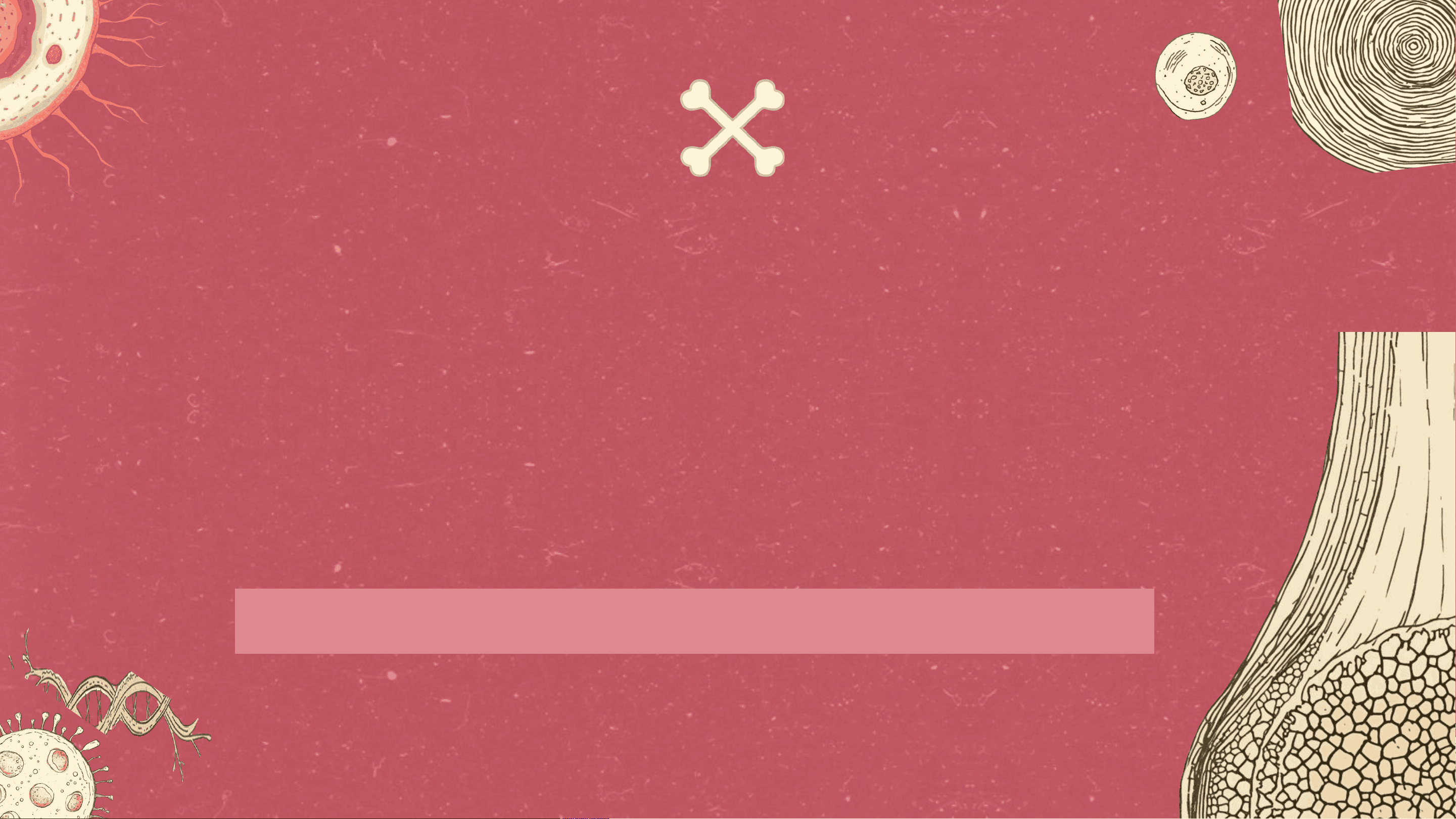bg1