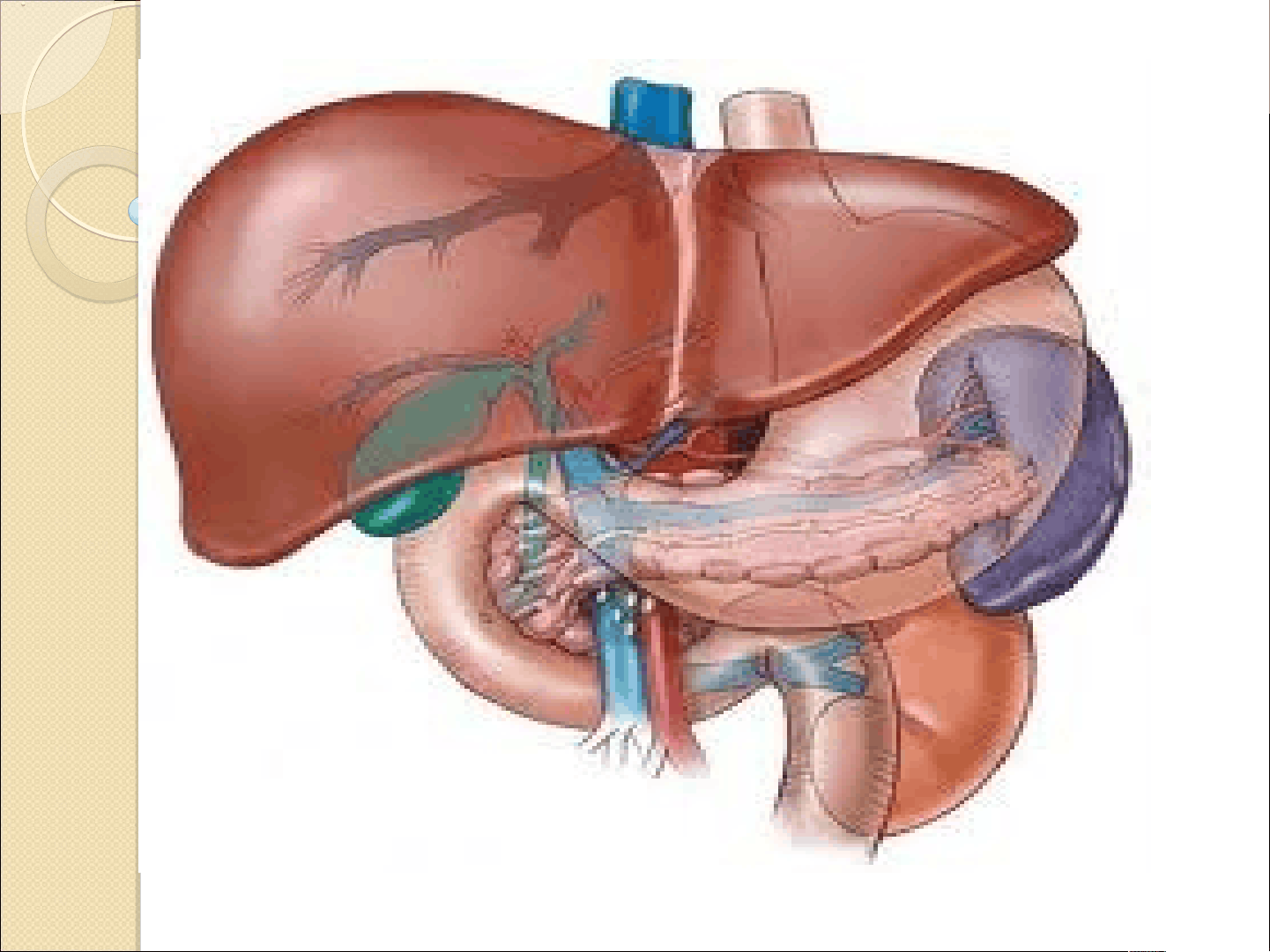 bg1