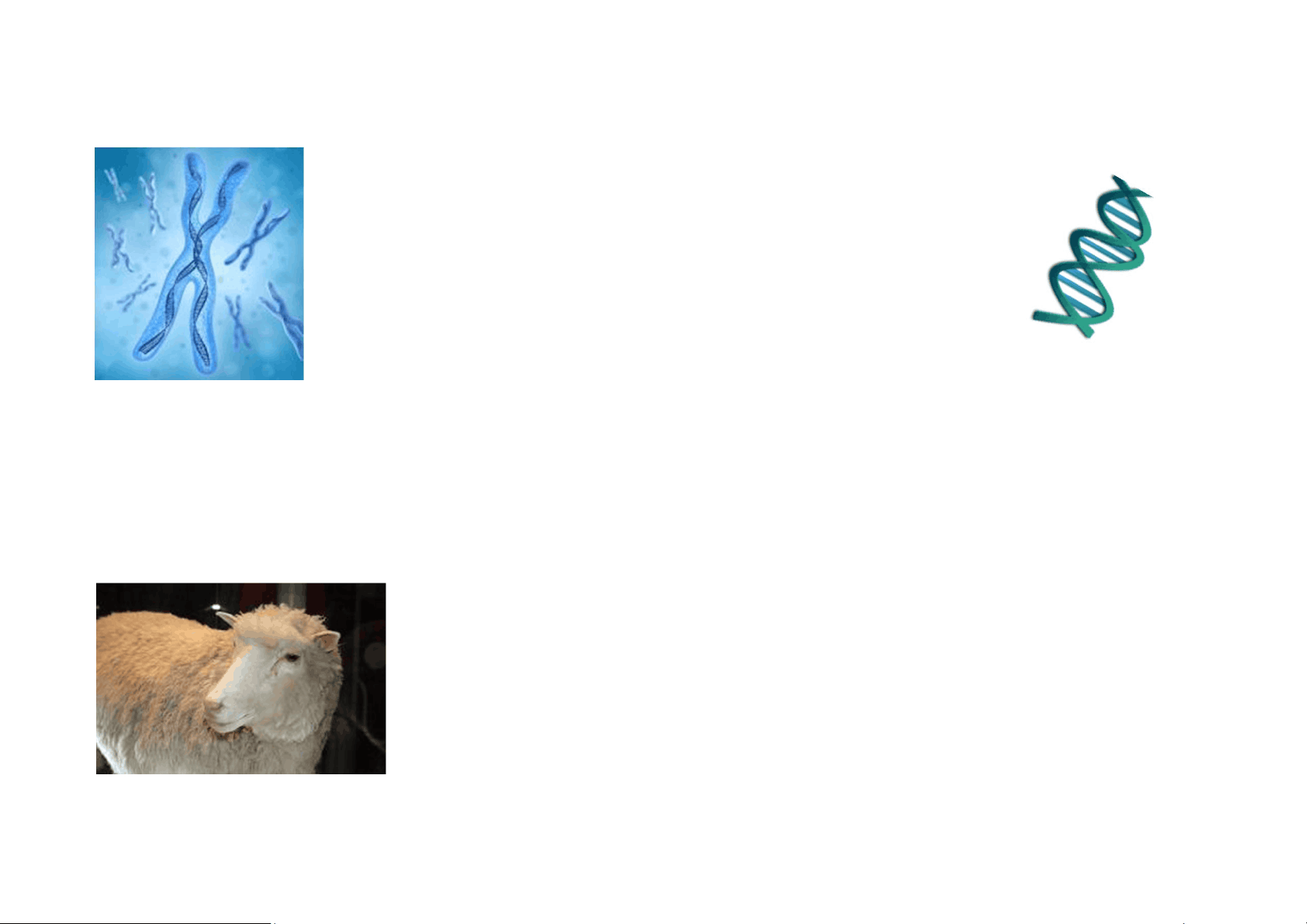 bg1