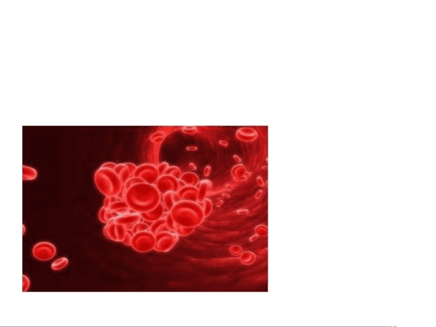 bg1