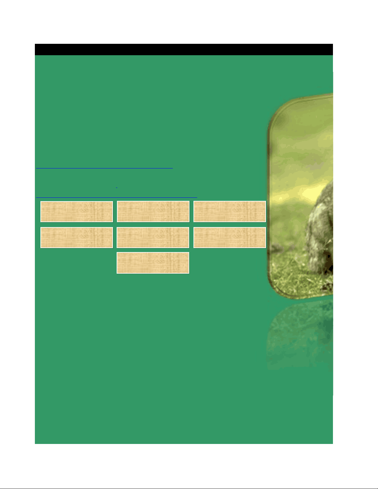 bg1