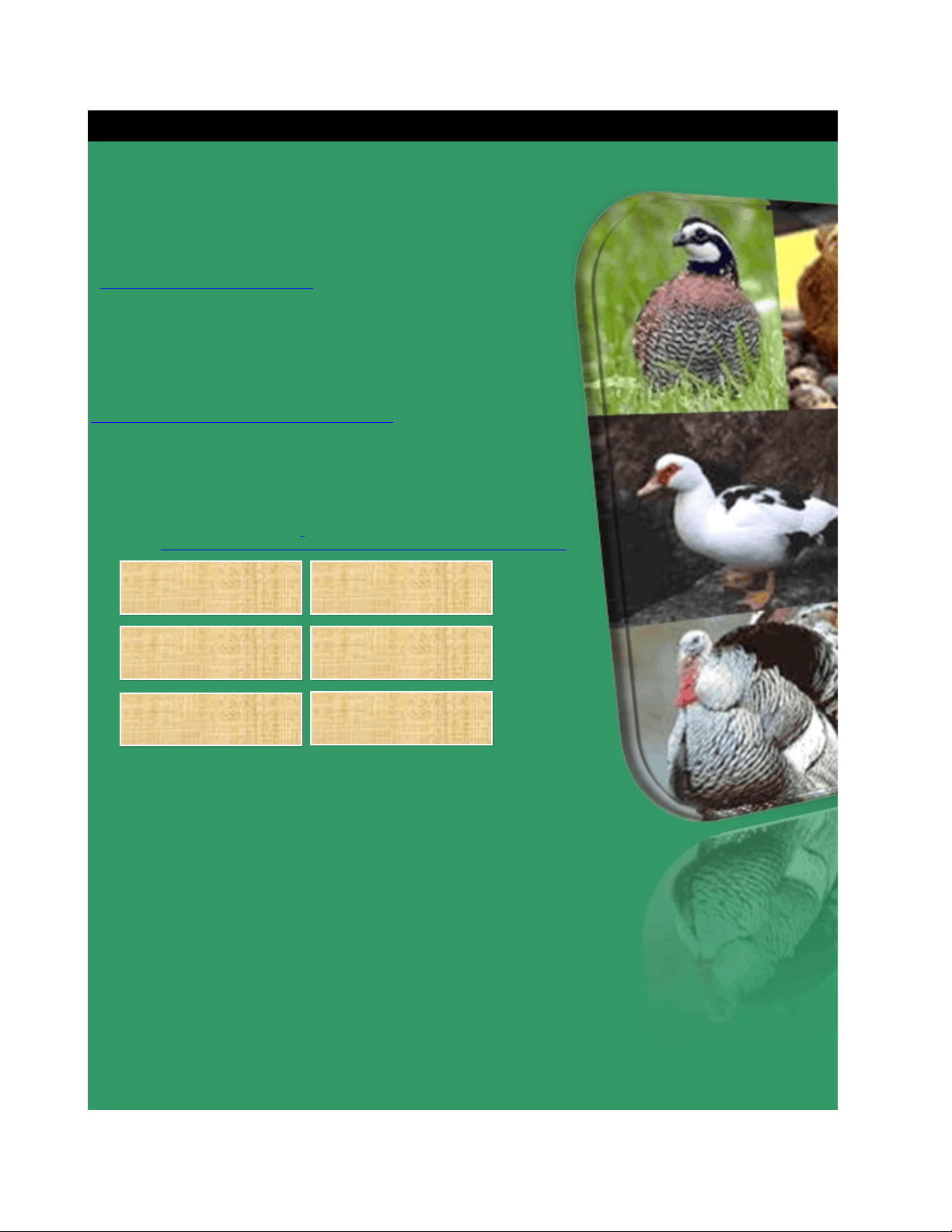 bg1