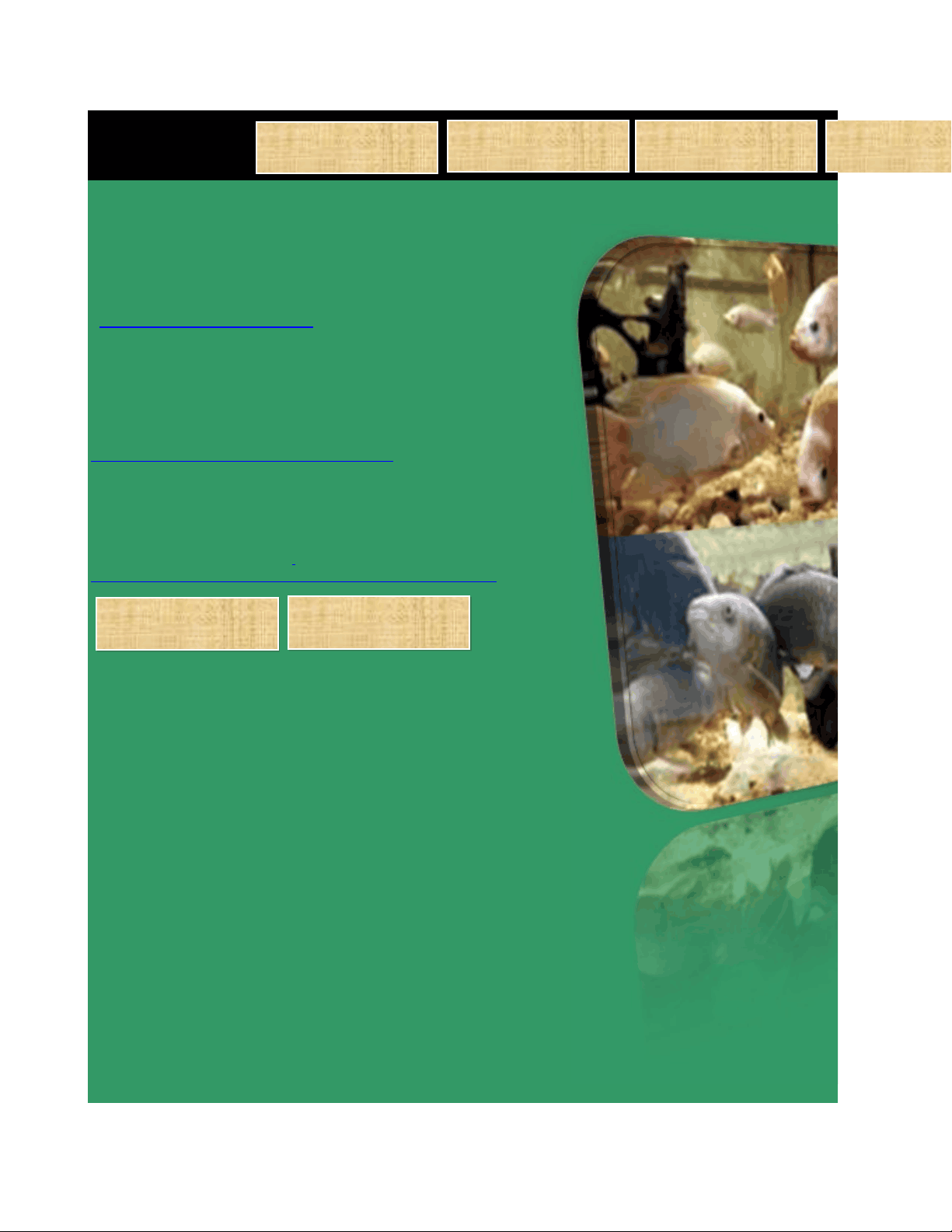 bg1