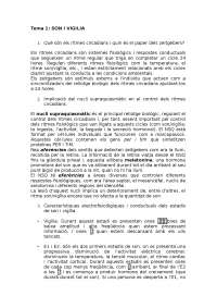 Preguntes i Respostes de DT (tots els temes)