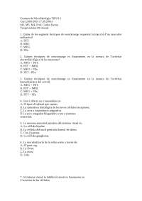 Examen de Psicofisiologia TIPUS 1Curs 2000-2001 (7.09.2001)M2, M3