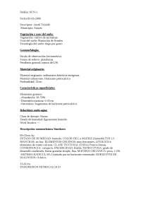 Exámen de suelo de Sunyer: descripción de la capa Ap de 0 a 33 cm - Prof. Porta