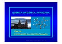 Int. a la Sintesis Organica