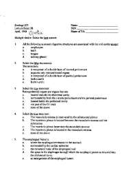 Exam 3 - 60 Questions | Human Anatomy and Physiology II | ZOOL 202