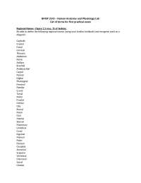 Lab Practical Exam 1 Bmsp 2145 Human Anatomy Physiology Lab Docsity