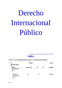 Dret internacional public