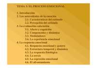 El proceso emocional