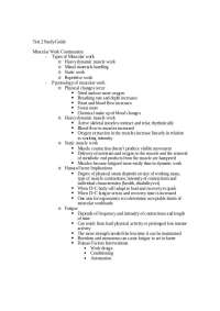 Muscular Work Continuation - Test 2 Study Guide | ISE 3624