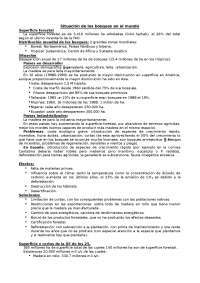 apuntes ordenacion Prieto