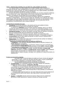 Morfología y Evolución de los Insectos: Alas, Aparato Bucal y Patas - Prof. Baragaño