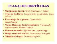 PLAGAS HORTICOLAS