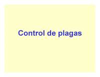 control plagas 3