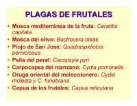 PLAGAS FRUTALES