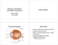 Sensation, Perception, and Pattern Recognition - Lecture Slides | PSYC ...